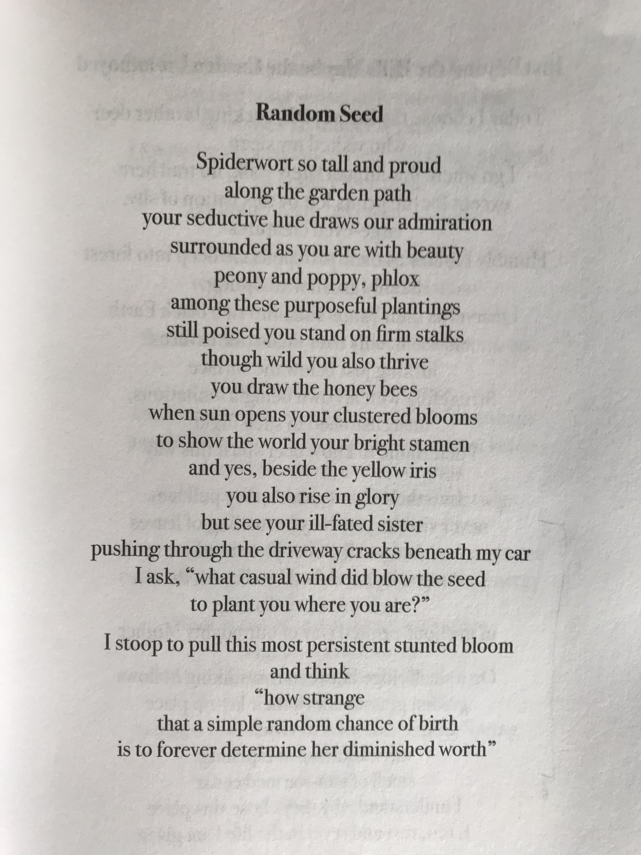 Random Seed poem